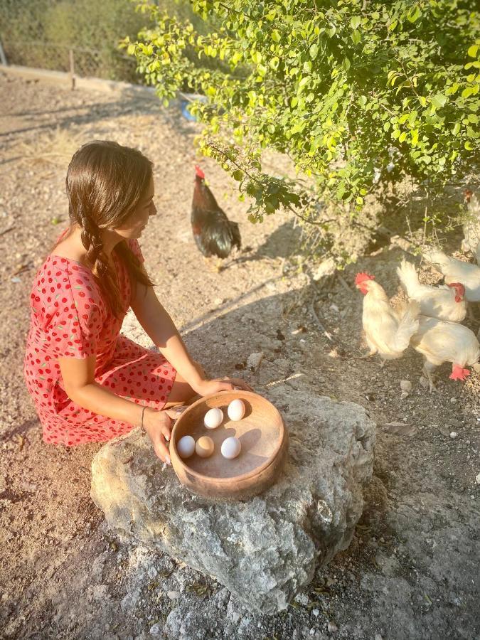 알라카티 바르바로사 호텔 Çeşme 외부 사진